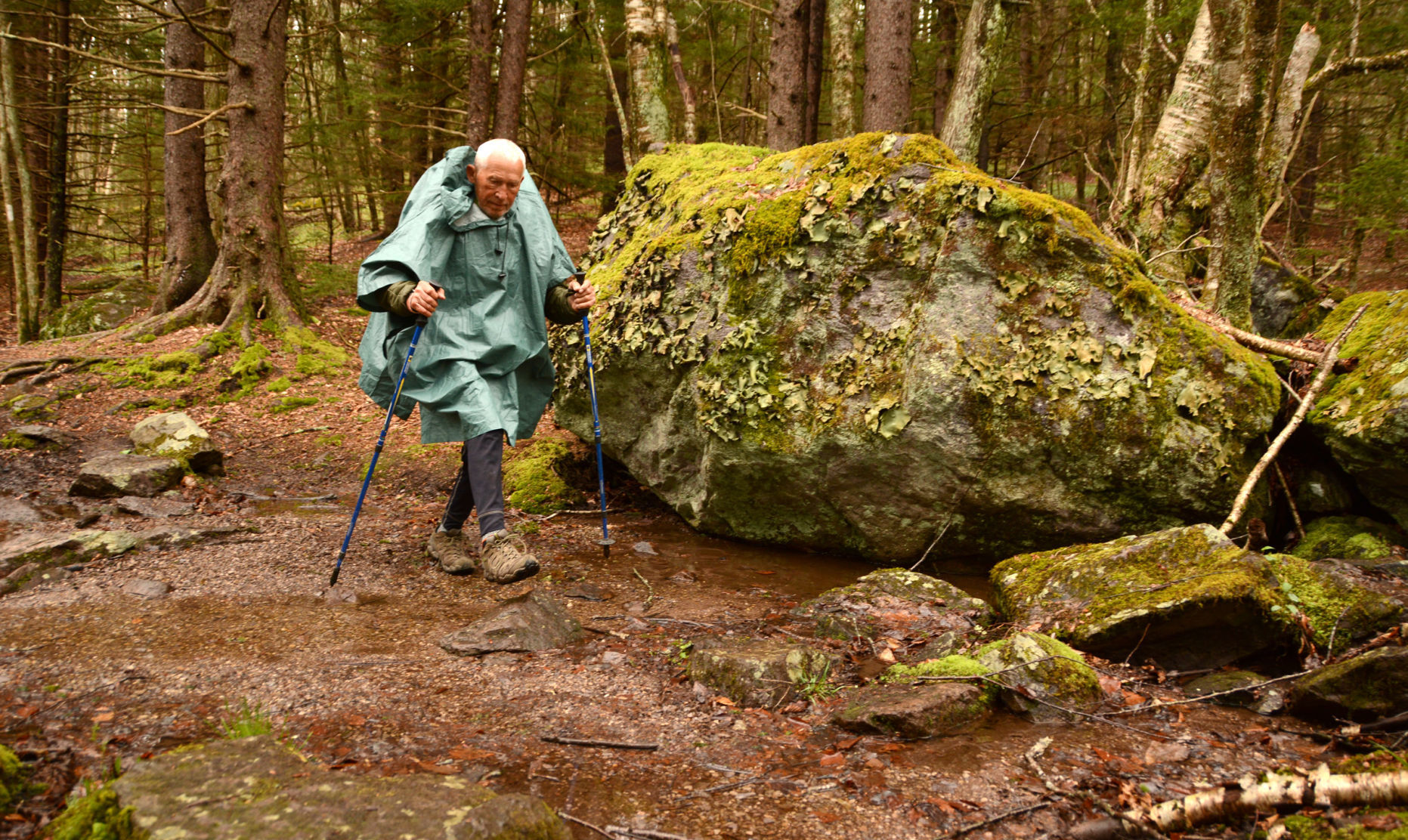 Mount Rogers National Recreation Area